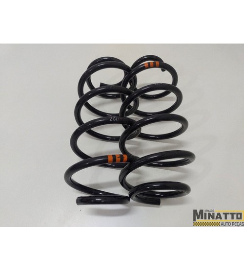 Molas Suspensão Dianteira Vw Passat 2.0 Tsi 2013